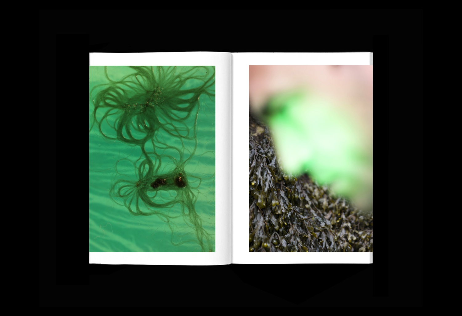 Algues Maudites, a Sea of Tears-